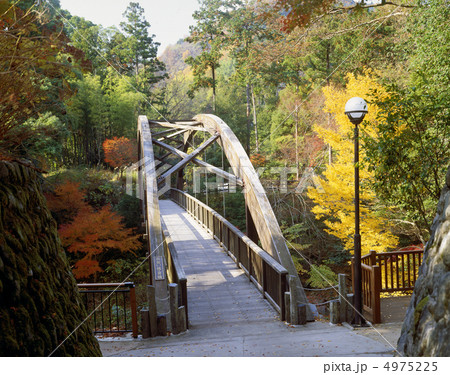 秋の湯ヶ島温泉 秋の湯ヶ島温泉 4975225