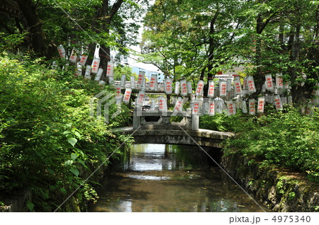 京都　松尾大社 4975340