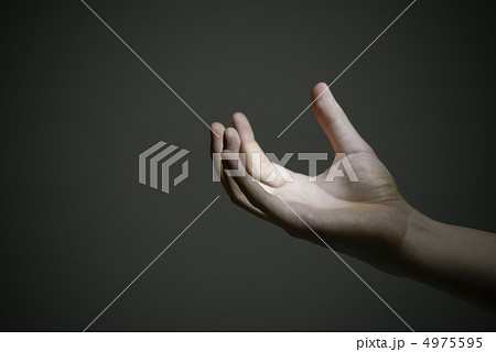 差し込む光 差し込む光 4975595