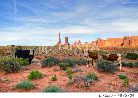 モニュメントバレー 4975704