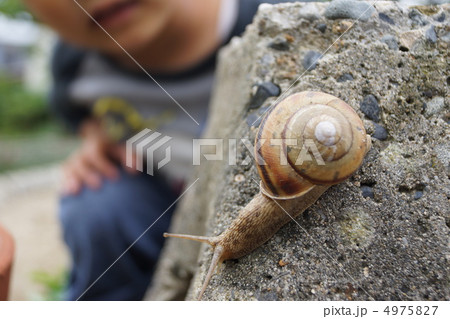 パパ　かたつむり！ 4975827