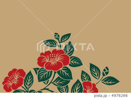 グラフィックパターン 4976266