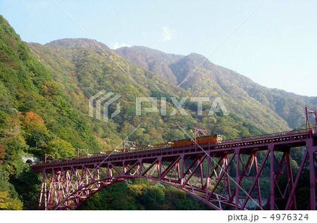 トロッコ列車 4976324