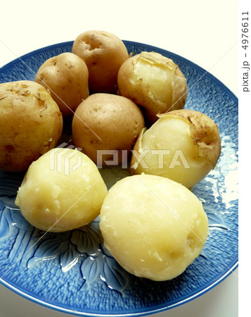 茹でた新じゃがいも 4976611
