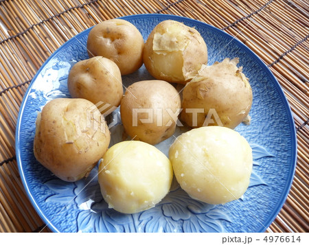 茹でた新じゃがいも 4976614