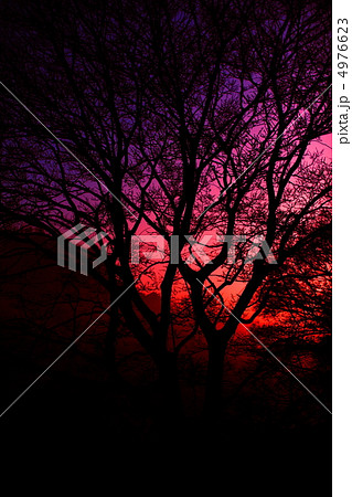 夜明け 夜明け 4976623