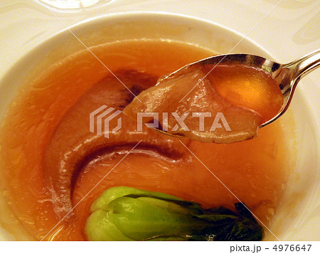 フカヒレの姿煮 フカヒレの姿煮 4976647