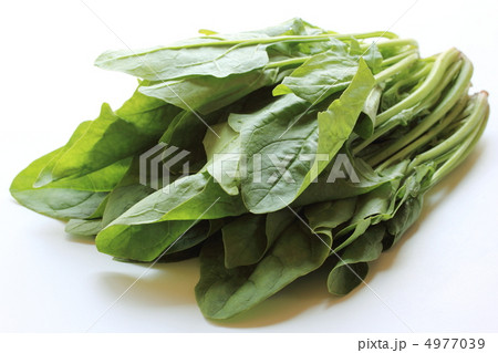 ほうれん草 4977039