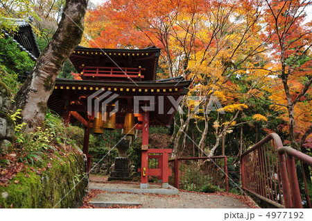 京都 愛宕念仏寺 三宝の鐘 京都 愛宕念仏寺 三宝の鐘 4977192