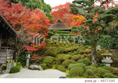 京都 金福寺の秋 京都 金福寺の秋 4977195