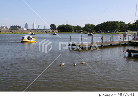 庄内緑地公園　ボート池 4977641