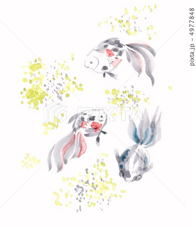 金魚～水墨 4977848
