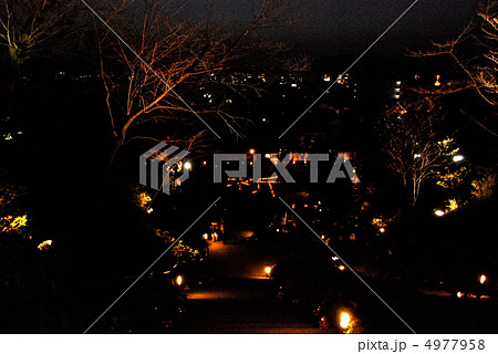 京都･東山花灯路（京都市東山区） 4977958