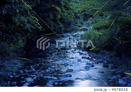 ホタル舞う情景 4978038