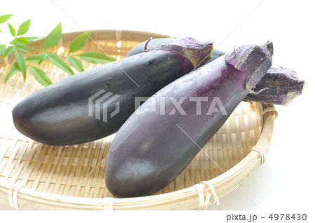 茄子 4978430