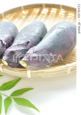 3本の茄子 3本の茄子 4978431