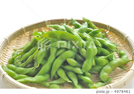 枝豆 4978461