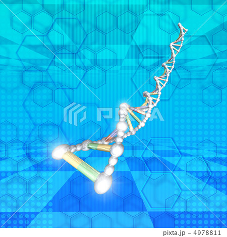 DNAのイメージ DNAのイメージ 4978811