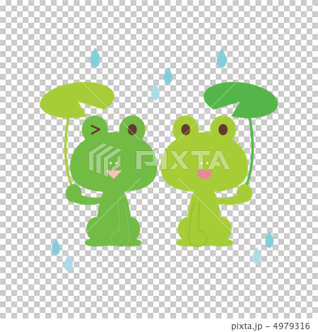 Frog season of the rainy season 4979316