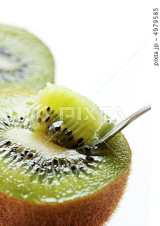 キウイフルーツ キウイフルーツ 4979585
