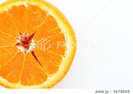 オレンジ 4979609