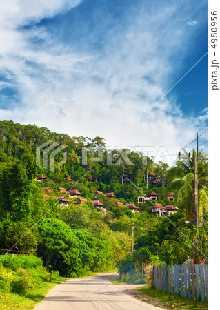 Thai Road 4980956