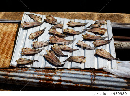 Small Dry Fish Small Dry Fish 4980980