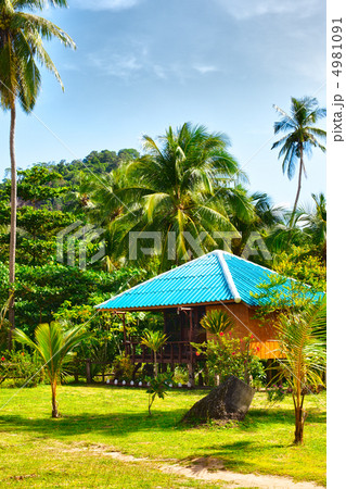 Tropical Resort Tropical Resort 4981091