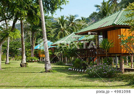 Tropical Resort 4981098