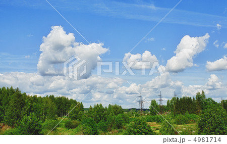 Rural Summer Landscape 4981714