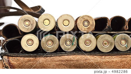 Vintage Ammunition Belt 4982286