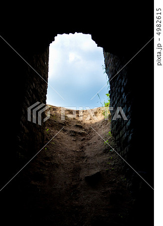 out of the dark, into the light 4982615