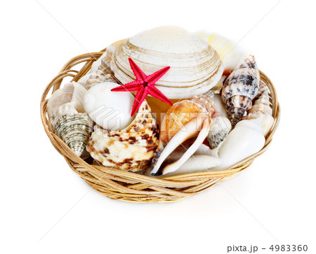 Seashells in Basket Seashells in Basket 4983360