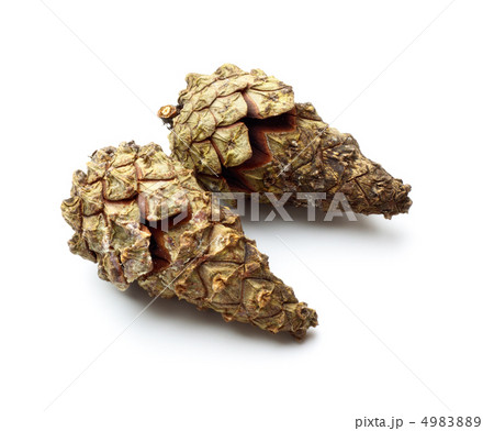 pinecones 4983889