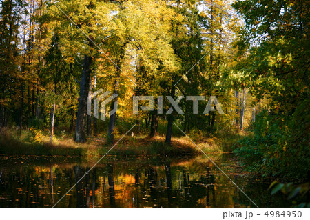 river in autumn forest river in autumn forest 4984950