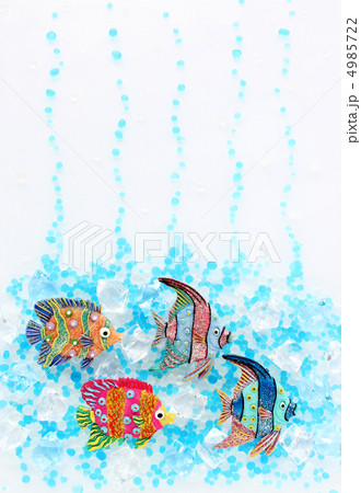 夏イメージ・熱帯魚010タテ 夏イメージ・熱帯魚010タテ 4985722