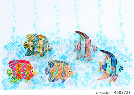 夏イメージ・熱帯魚010 4985723