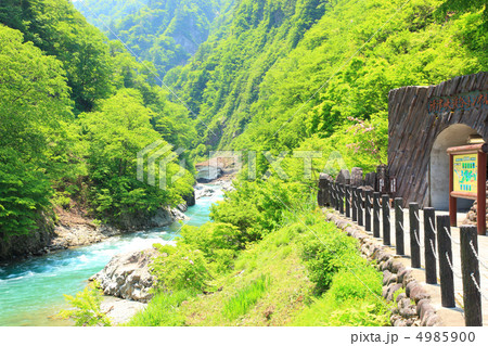 新緑の清津峡 新緑の清津峡 4985900