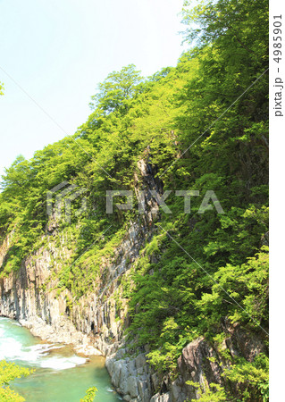 新緑の清津峡 4985901