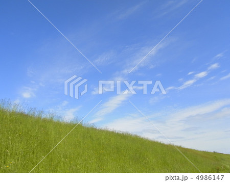 青空 4986147