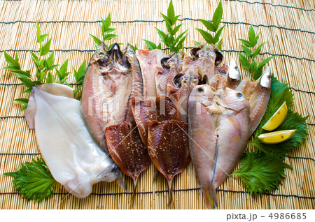 呼子の干物 4986685