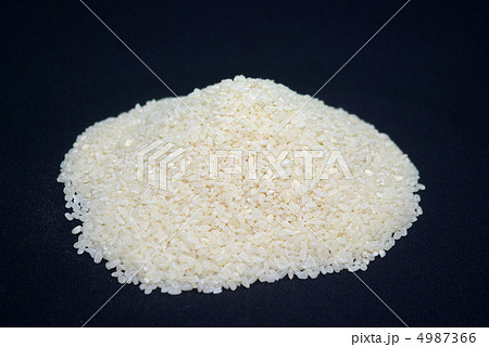 古古古古古古古古米 4987366