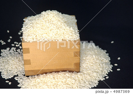 枡と古古古古古古古古米 4987369