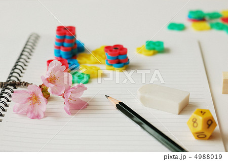 2012教育 2012教育 4988019