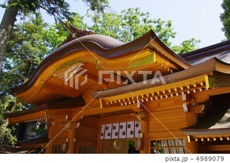 大國魂神社随神門 4989079