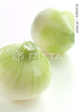 玉ねぎ 4989478