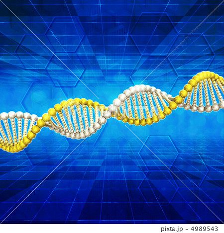DNAのイメージ DNAのイメージ 4989543