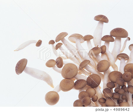 彩りの野菜と果実たち 彩りの野菜と果実たち 4989642