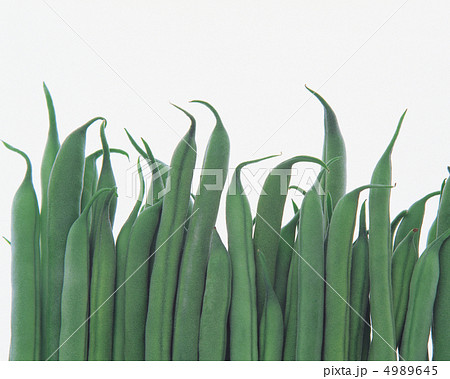 彩りの野菜と果実たち 4989645