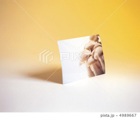 彩りの野菜と果実たち 彩りの野菜と果実たち 4989667